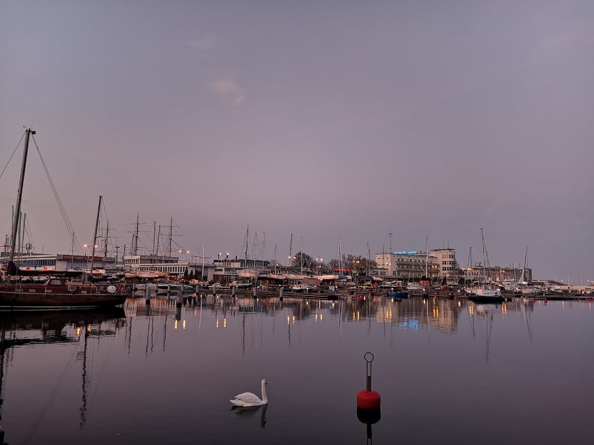 Gdynia Waszym okiem. Miasto na zdjęciach Czytelników. Zobaczcie Gdynię z perspektywy mieszkańców 