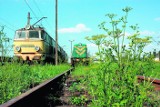 Polskie Linie Kolejowe nie chcą inwestować na Lubelszczyźnie