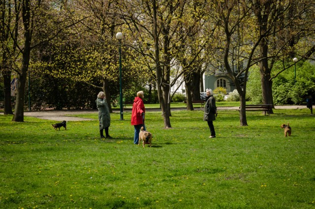 Na zdjęciu park Wielkopolski na Ochocie.