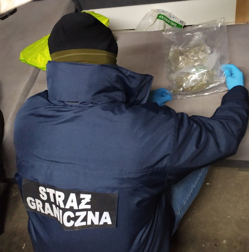 Akcja straży granicznej w powiecie gdańskim. Pies wywęszył narkotyki w... kanapie. 31-latek zatrzymany