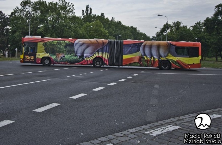 Wrocław: Komunikacja miejska z pazurem kursuje po mieście (ZDJĘCIA)