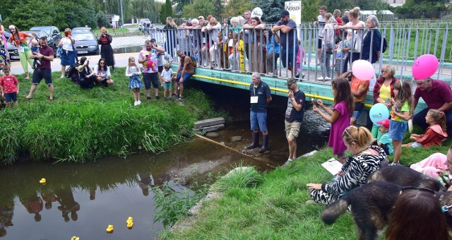 Wyścig kaczek odbył się po raz drugi w Chełmie nad rzeką Uherką. fot.