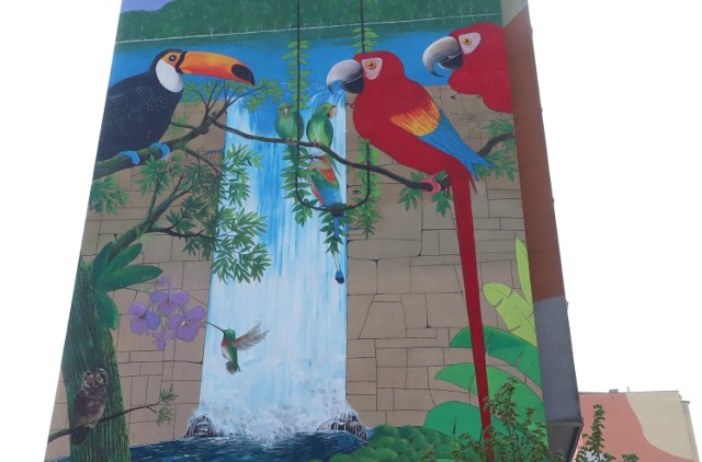 Roberto Vergara Lino z Salwadoru namalował piękny mural w Radomiu. Można go podziwiać na wieżowcu przy ulicy Żeromskiego 116. Mural ukazuje symbiozę, środowisko naturalne, w którym żyją ze sobą poszczególne gatunki zwierząt - ssaków, płazów, gadów.