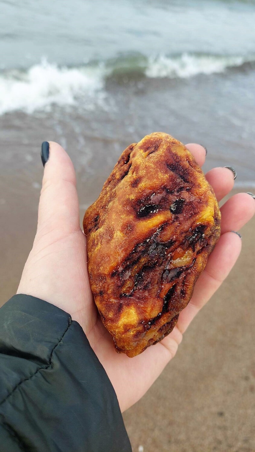 Ogromny bursztyn znaleziony na plaży w Darłowie. Skarb Bałtyku