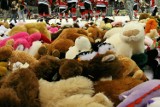 Kraków. Teddy Bear Toss - pluszaki polecą na lodowisko Cracovii