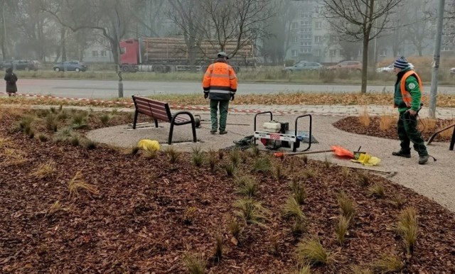 Pierwszy w Kielcach park kieszonkowy przybiera realne kształty, a bujną roślinnością będzie cieszył mieszkańców na wiosnę.