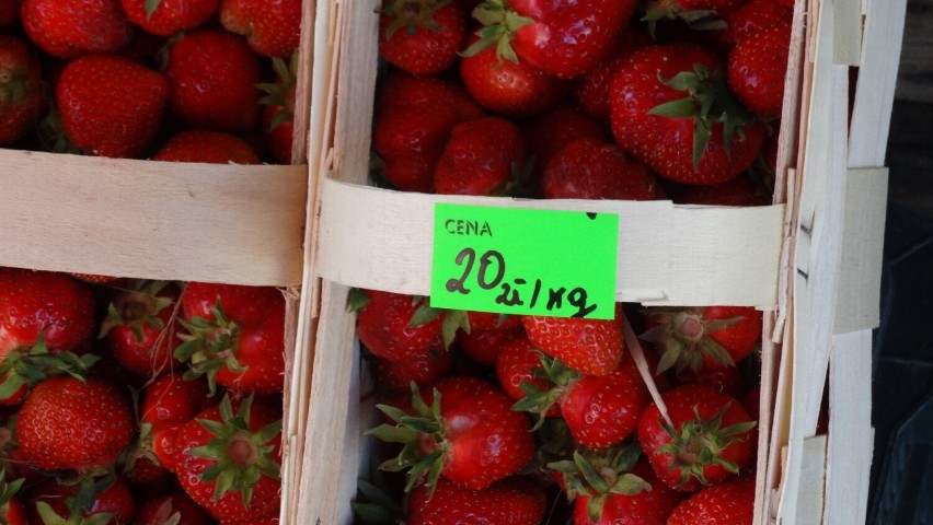 Po ile truskawki w Radomsku? Gdzie można kupić owoce i jakie są ceny - 19.05.2022? ZDJĘCIA