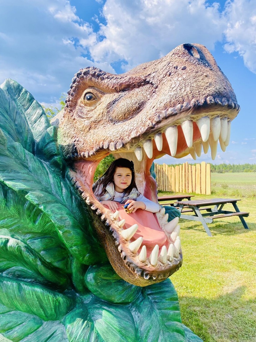 Nowy Park Rozrywki na mapie rodzinnej przygody! Dolina Dinozaurów w Jabłonowcu już otwarta! 