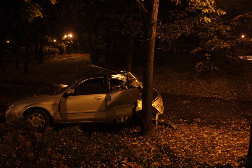 Pijany kierowca wjechał do parku w Zawierciu