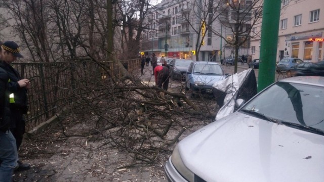 Na szczęście nikt nie przechodził chodnikiem...