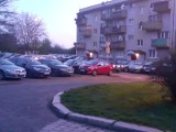Fontanny w Parku Miejskim w Legnicy i problemy z parkowaniem. Mieszkańcy ulicy Mickiewicza alarmują [LIST OD CZYTELNIKA]