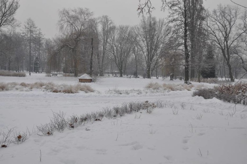 Zima w Pleszewie. To  już ostatnie dni z mrozem i śniegiem