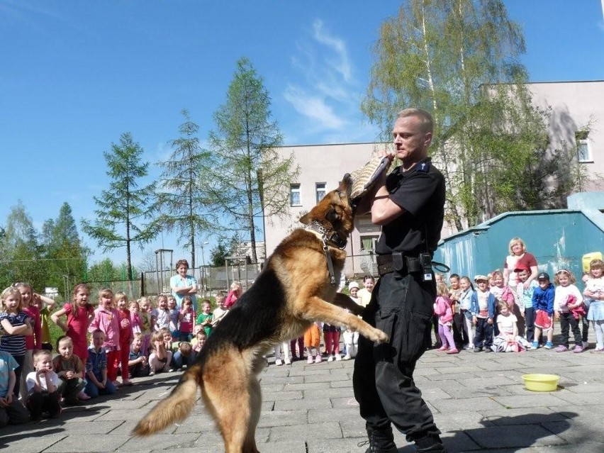 Policja w przedszkolu! Zobaczcie zdjęcia