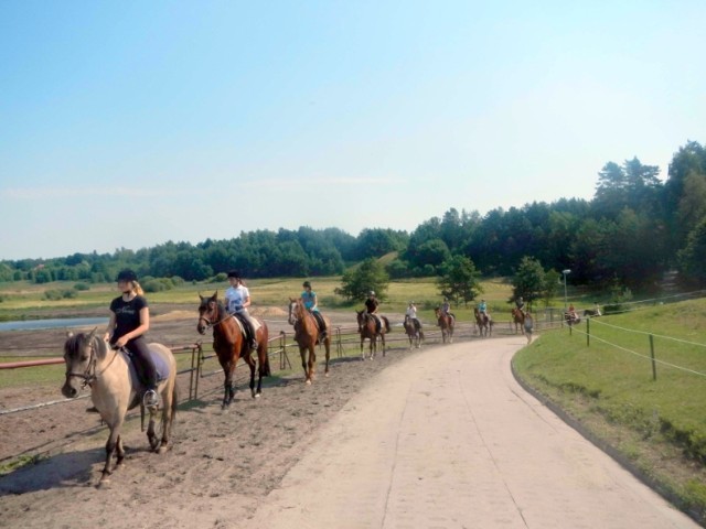 Droga w pobliżu Stajni Iskra - w każdej chwili można tu napotkać jeźdźców i konie