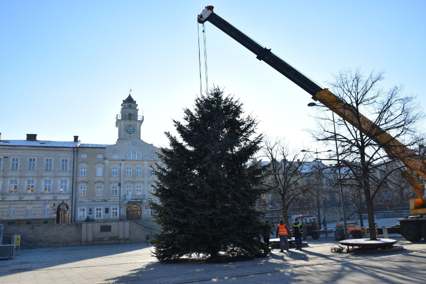 Gorlice stroją się na święta. Na płycie rynku stanęła choinka