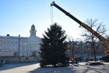 Gorlice stroją się na święta. Na płycie rynku stanęła choinka