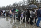 Łazarz: Wielka kolejka ustawiła się przed Palmiarnią Poznańską. Wystawa ssaków przyciągnęła tłumy