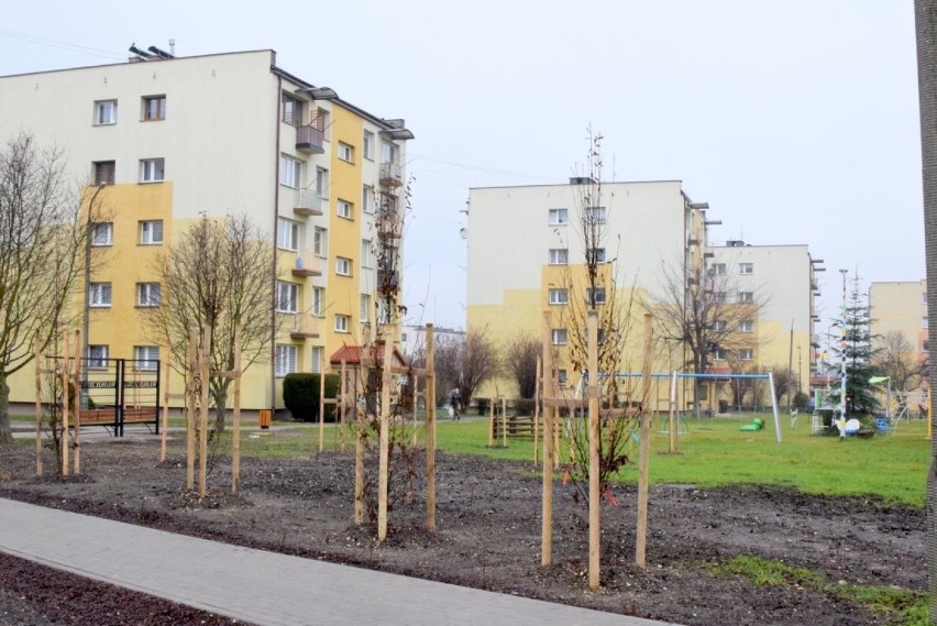 Inwestycyjną fazę rewitalizacji najstarszych włoszczowskich...