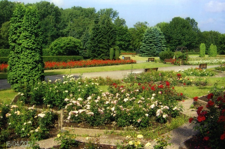 Chorzowskie Rosarium. Jedno z 35 NAJPIĘKNIEJSZYCH