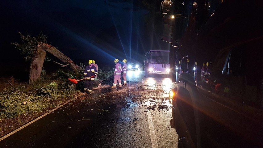 Skutki burzy w Radomsku i powiecie. Wiatr łamał drzewa,...