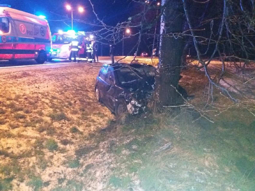 Lwówek: Wypadek dwóch aut na obwodnicy. Jedno uderzyło w drzewo