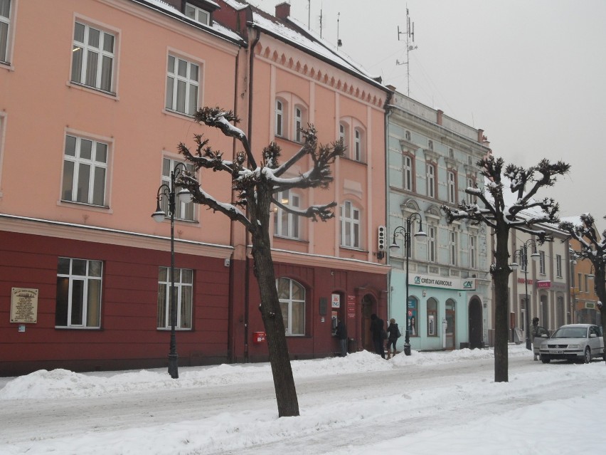 Koszmarki Żory: W mieście nie brakuje przekrzywionych znaków, a nawet drzew! FOTO