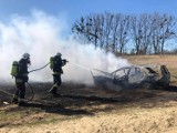 Strażacy gasili płonący samochód, ale zapaliły się trawy [ZDJĘCIA]