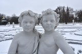 Byk, Bliźnięta, Baran w zimowej aurze. Nowe rzeźby w ogrodzie Pałacu Branickich w Białymstoku (zdjęcia)