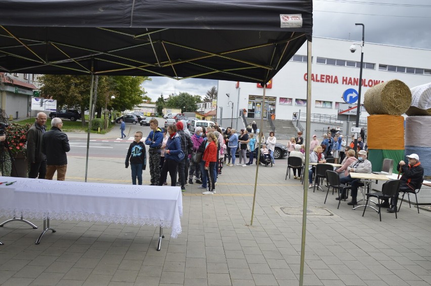 Tort na urodziny Sztumu