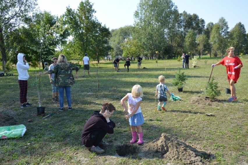 Las zduńskowolan jest coraz większy. Posadzonych zostało już...