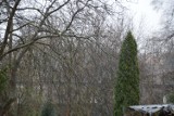 Śnieg w Żaganiu, w lany poniedziałek! Wiosna nas nie rozpieszcza i jest kapryśna!