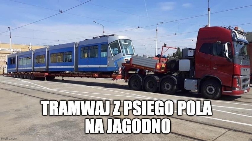 Tramwaj na Jagodno, parki kieszonkowe, choinka w Rynku....