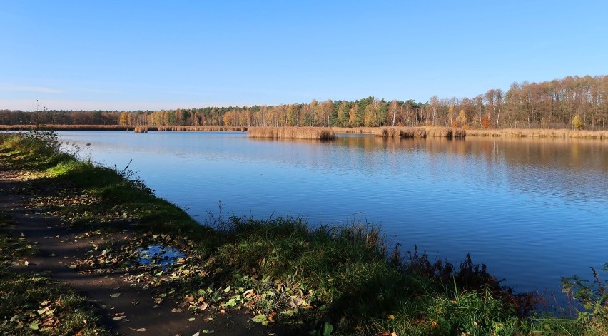 Śląskie Mazury polecają się na jesienny spacer. Piękne...