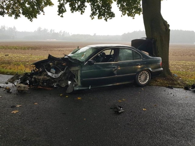 Wczoraj (26 września) przed południem w Ostrowie (gmina Strzelno) doszło do wypadku. 20-letni kierowca BMW uderzył w  drzewo.

- Jak ustalili policjanci, kierujący pojazdem marki BMW 20-latek próbował uniknąć zderzenia z sarną, która wybiegła na jezdnię. Gwałtowny manewr zakończył się jednak utratą panowania nad autem, które zjechało na pobocze, a następnie uderzyło w drzewo. Na szczęście mężczyźnie nic poważnego się nie stało - relacjonuje asp. Tomasz Bartecki z mogileńskiej policji.