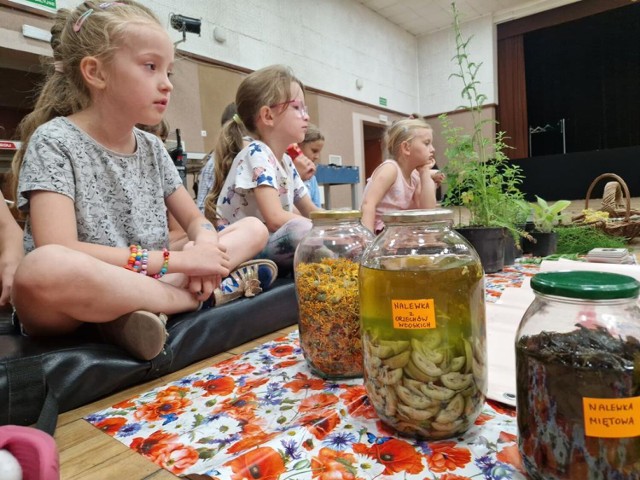 Warsztaty zielarskie „Ziołolecznictwo ludowe, czyli w czym mogą pomóc zioła” były jednymi z ostatnich zajęć dla dzieci w Karsznicach