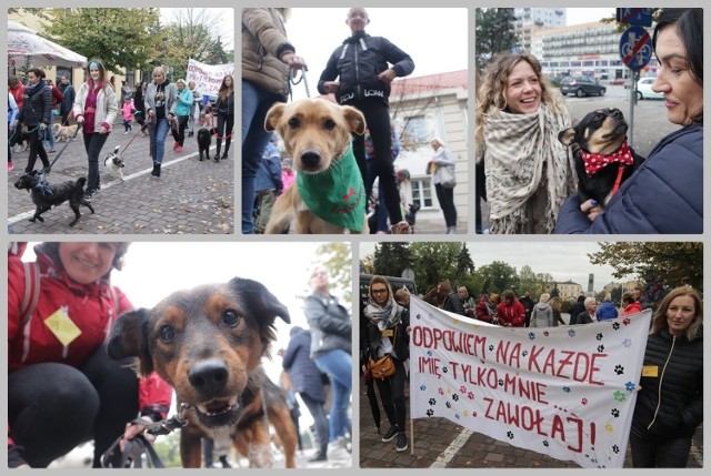 Po raz kolejny przez Włocławek przeszedł marsz ze zwierzakami ze schroniska przy ul. Przemysłowej. Właściciele psiaków adoptowanych i wolontariusze przeszli od placu Wolności ulicą 3 Maja aż do Starego Rynku. Był to główny akcent obchodów Światowego  Dnia Zwierząt przygotowanych przez naszą placówkę. Ponadto podczas spotkania w  „Rejsie” przy ul. Piwnej rozstrzygnięto konkurs na zdjęcia zwierzaków pod hasłem „Uśmiech proszę”. Można było uzyskać też porady psiego behawiorysty i instruktora szkolenia.