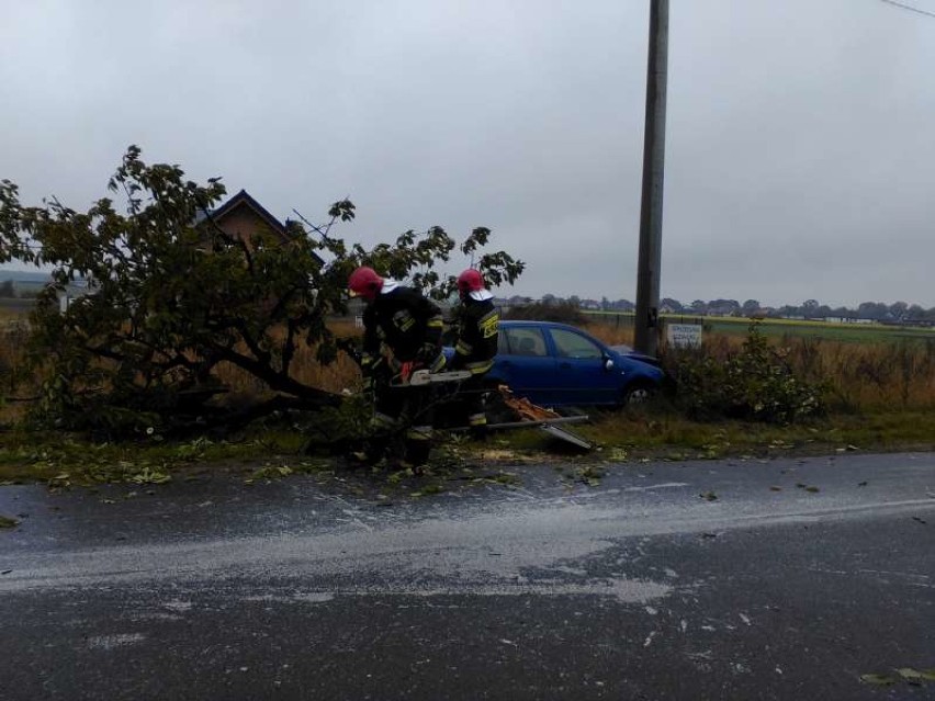 Kierujący Skodą Fabią uderzył najpierw w drzewo, potem w...