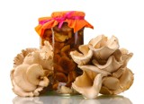 Jedzenie grzybów może chronić mózg przed utratą pamięci [wyniki badań]