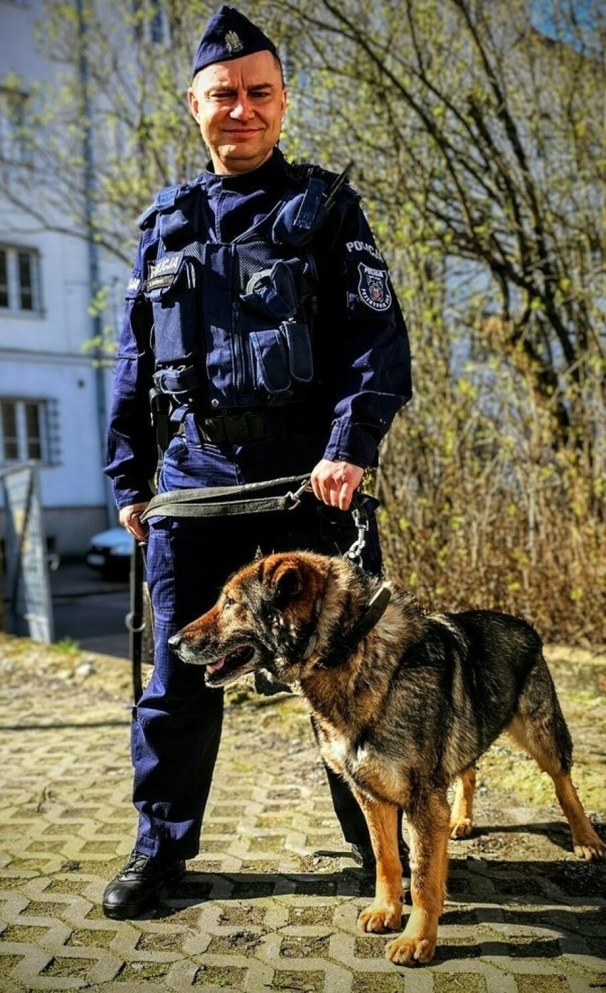 Baryl to 12-letni owczarek niemiecki, który służbę w policji...