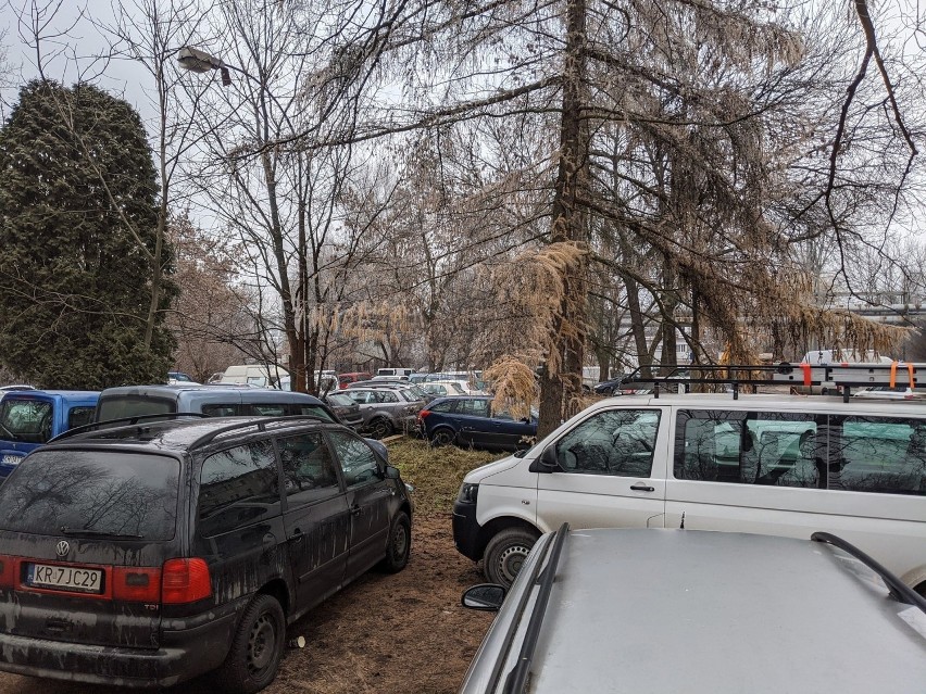 Obecny dziki parking w miejscu przyszłego parku