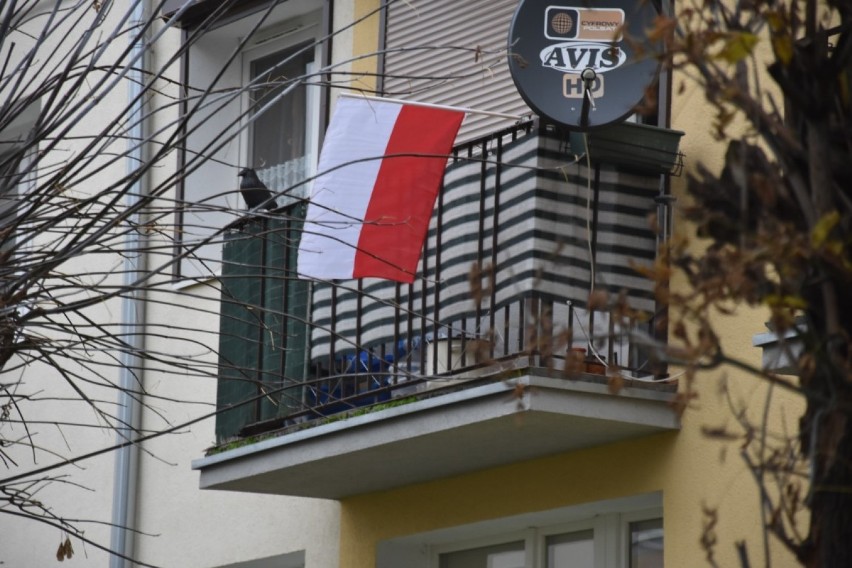 Święto Niepodległości 2020. Mieszkańcy Wągrowca i powiatu wągrowieckiego wywiesili flagi [ZDJĘCIA] 