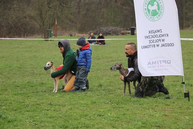 Terenowe wyścigi chartów pod patronatem wójta gminy Koszęcin 6-7.04.2019.