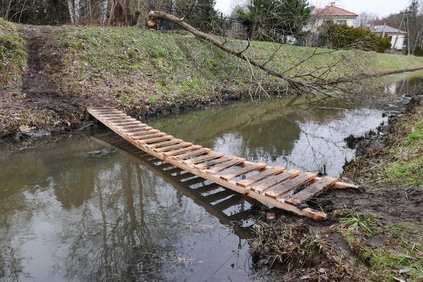 Warszawskie absurdy. Uczniowie do szkoły chodzą... po drabinie. Takie rzeczy tylko w Wesołej