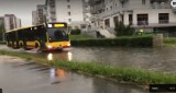 Kozanów został zalany! Oto skutki burzy we Wrocławiu [WIDEO]