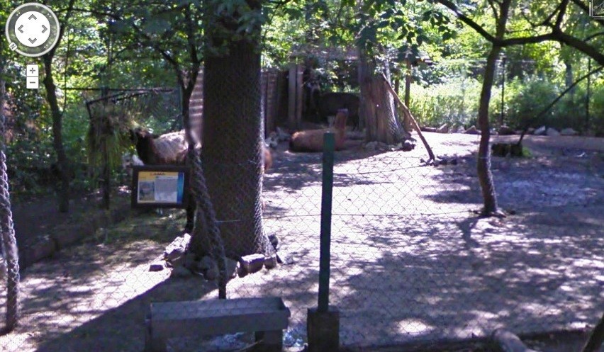 Wrocławskie zoo i inne atrakcje w Google Street View (ZDJĘCIA)