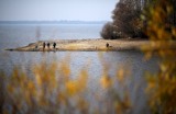 Unia troszczy się o ochronę przyrody w Łódzkiem