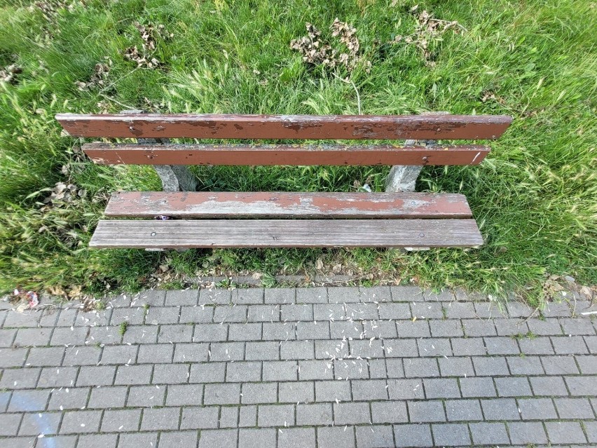Kiepski stan ławek w Parku Kultury i Wypoczynku w Słupsku. ZIM sprawdzi problem