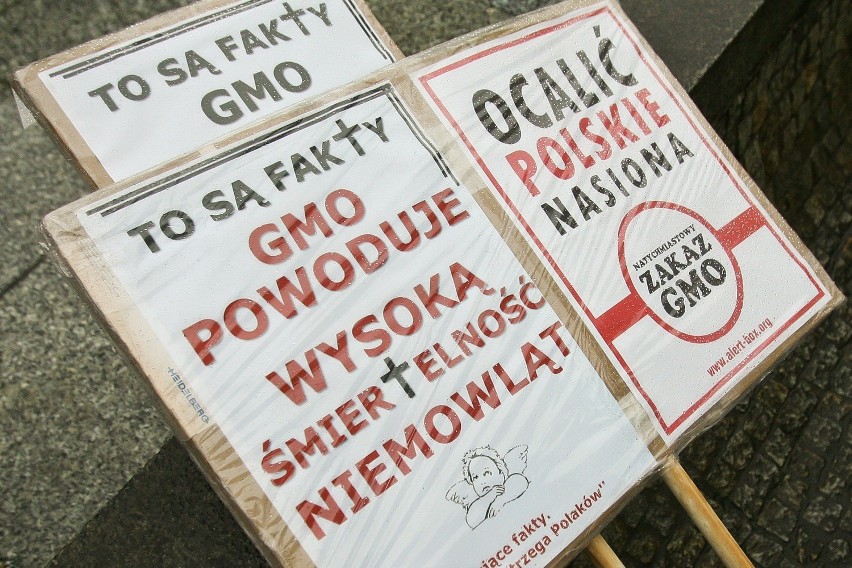 Wrocław: Zaledwie dwadzieścia osób na proteście przeciwko GMO (ZDJĘCIA)