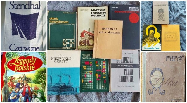 Zobacz książki, które są dostępne za darmo w Lublinie[/b
