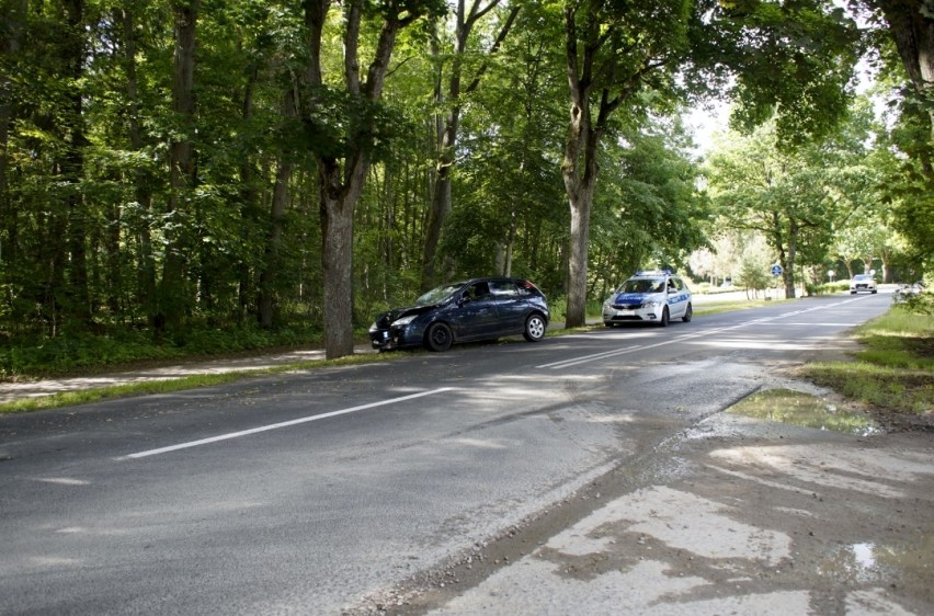 Prawie trzy promile i kolizja z drzewem. 40-latka straciła prawo jazdy